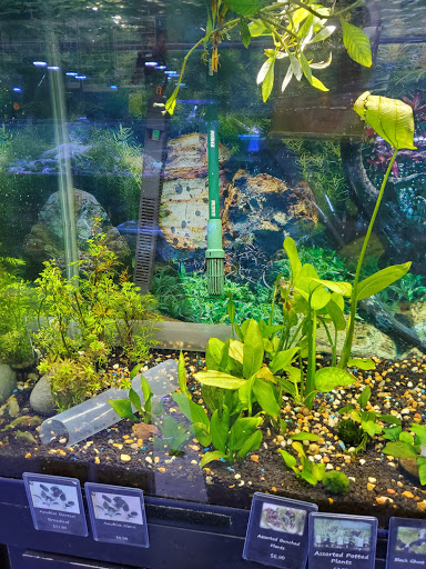 Tropical Fish Store «Aquatic Design», reviews and photos, 1629 N Central Expy, Plano, TX 75075, USA