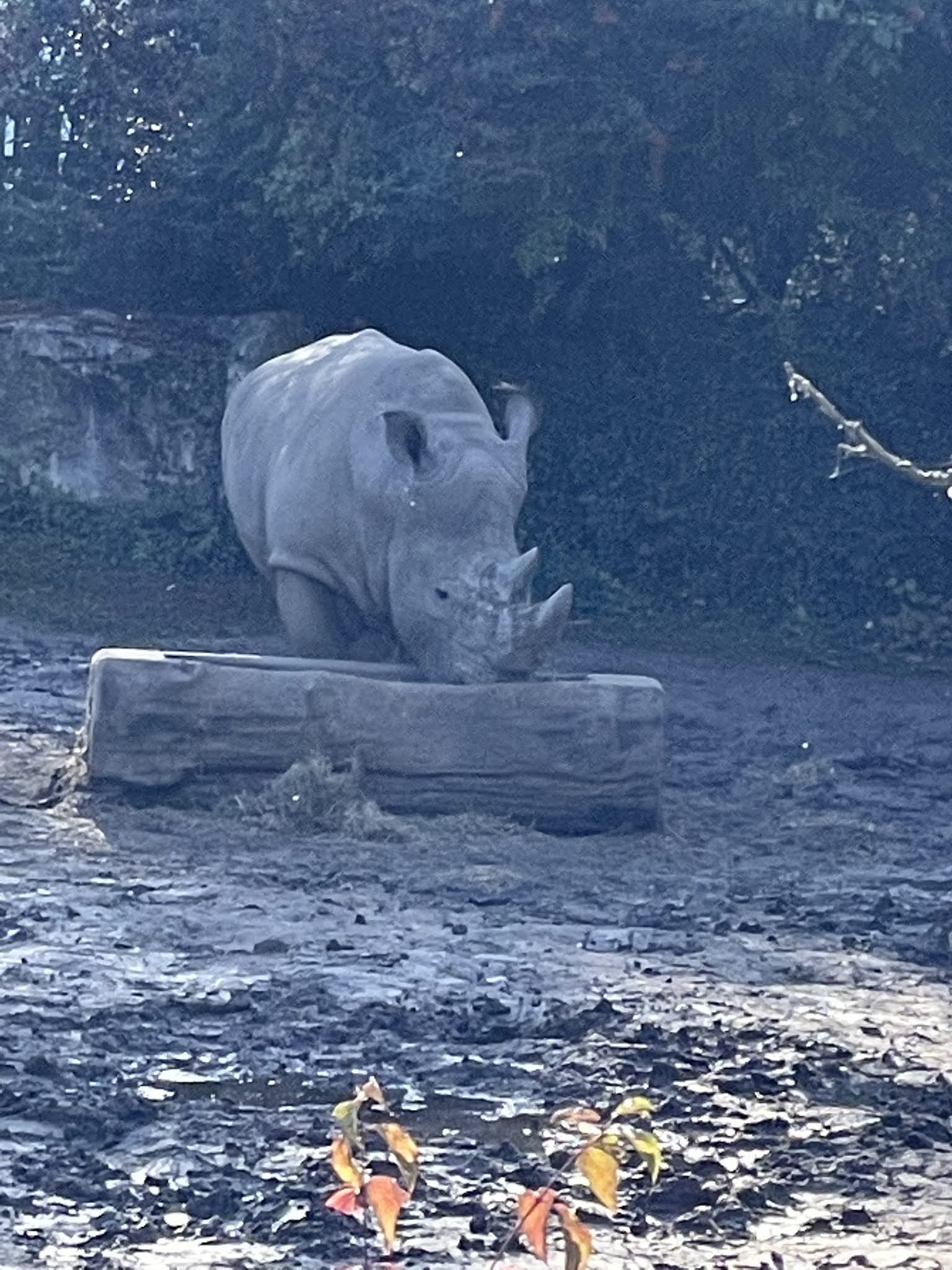 Photo n° 1 de l'avis de Clément.l fait le 19/10/2021 à 08:42