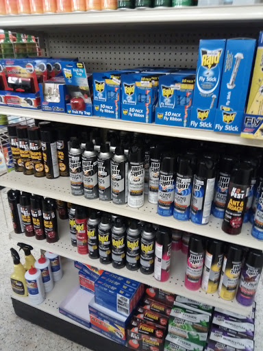 Discount Store «Big Lots», reviews and photos, 2412 S Volusia Ave, Orange City, FL 32763, USA