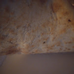 Photo n°1 de l'avis de Heiko.e fait le 04/08/2021 à 19:21 sur le  City Döner à Neu-Isenburg