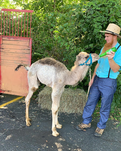 Pet Store «Pet Central», reviews and photos, 1200 Smallhouse Rd, Bowling Green, KY 42104, USA