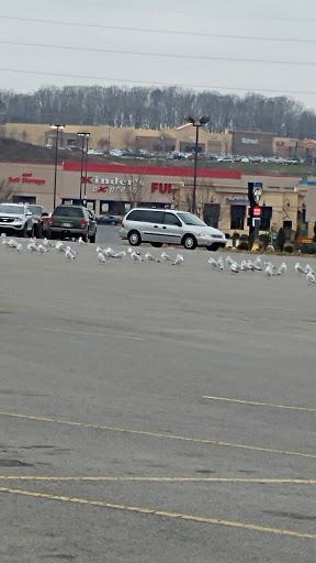 Grocery Store «United Grocery Outlet», reviews and photos, 1625 Decatur Pike, Athens, TN 37303, USA