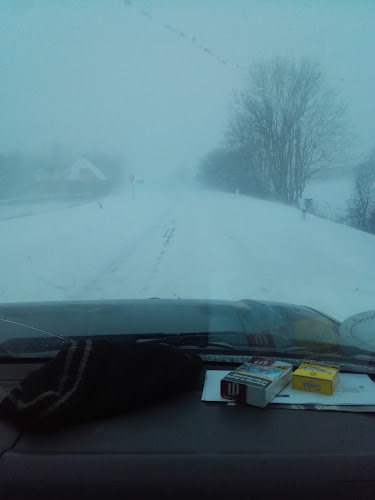 Kommentarer og anmeldelser af Svendborg Møbeltransport og Flytteforretning