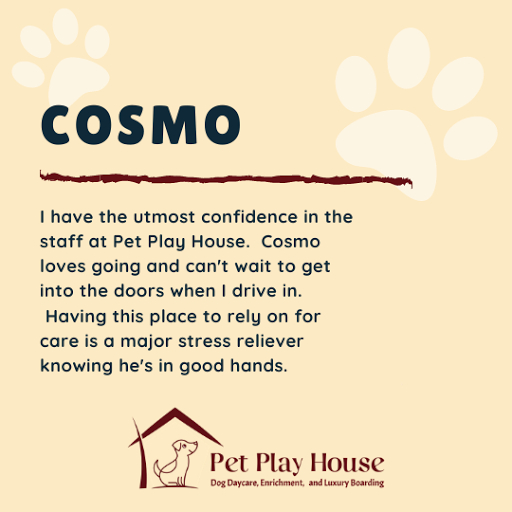 Pet Store «Pet Play House», reviews and photos, 2403 E 4th St, Reno, NV 89512, USA