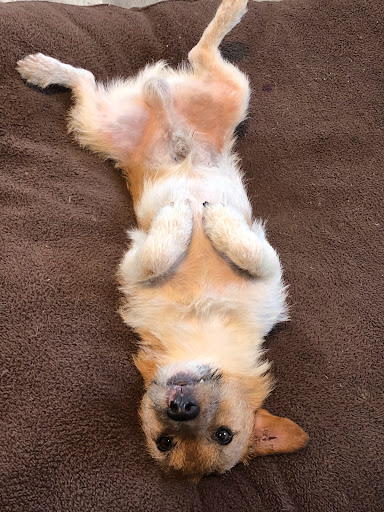 Moving Company «Liberty Bell Moving & Storage», reviews and photos, 422 1 Fore St 2 Suite #1, Portland, ME 04101, USA