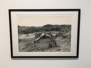 Galerie Thaddaeus Ropac Paris Marais - photo 76