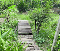 สวนเกร็ดพุทธ photo