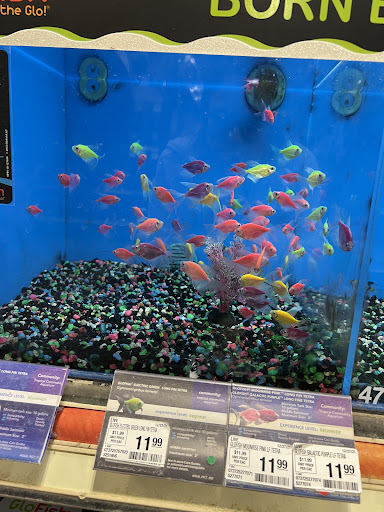 Pet Supply Store «PetSmart», reviews and photos, 3401 Erie Blvd E, Syracuse, NY 13214, USA