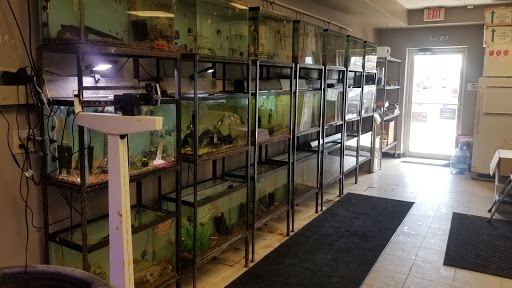 Tropical Fish Store «Aquarium Oddballs», reviews and photos, 6115 E 31st St, Tulsa, OK 74135, USA