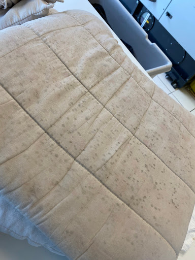 Dry Cleaner «OXXO Care Cleaners - Clermont», reviews and photos, 2430 E Hwy 50 A, Clermont, FL 34711, USA