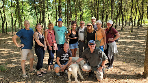 Travel Agency «Imagine Travel Vacations», reviews and photos, 313 S Greene St, Greensboro, NC 27401, USA