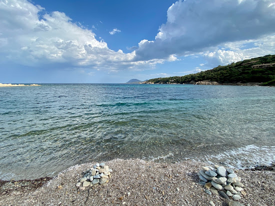 Spiaggia Alghe