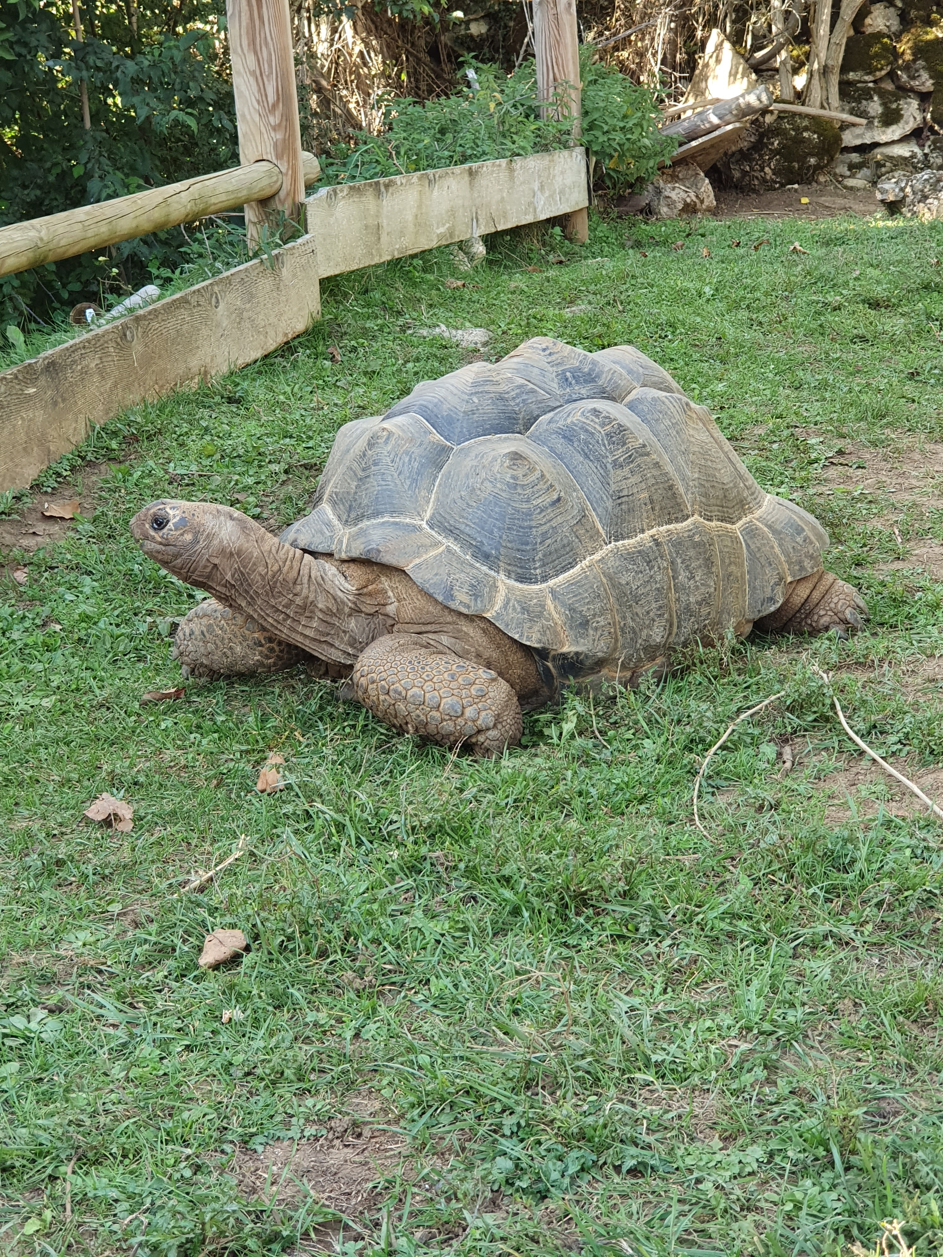 Photo n° 4 de l'avis de Laetitia.o fait le 20/10/2019 à 17:56