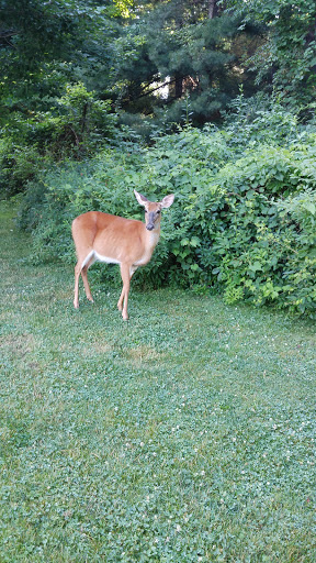 Public Swimming Pool «Water Works Family Aquatic Center», reviews and photos, 2025 Munroe Falls Ave, Cuyahoga Falls, OH 44221, USA