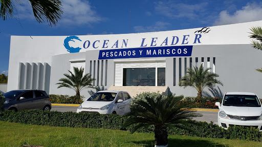 OCEAN LEADER RD