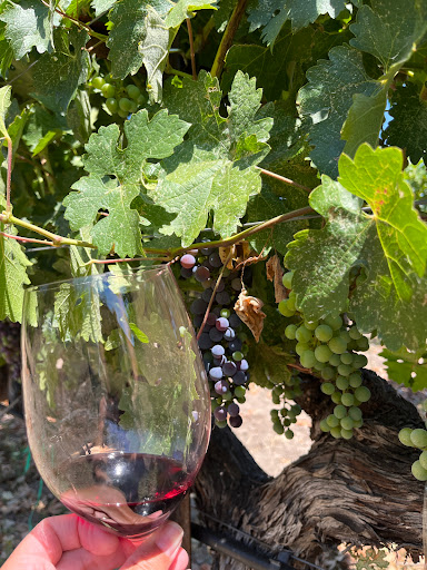 Winery «Joseph Cellars Winery», reviews and photos, 4455 St Helena Hwy, Calistoga, CA 94515, USA
