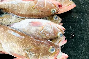 Mangalore Fish Shop image