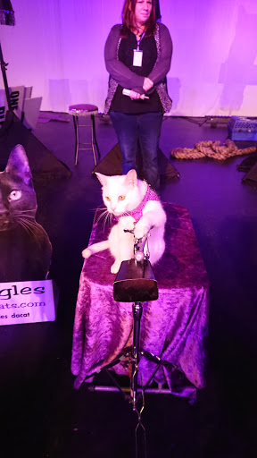 Performing Arts Theater «Carco Theatre», reviews and photos, 1717 Maple Valley Hwy, Renton, WA 98057, USA