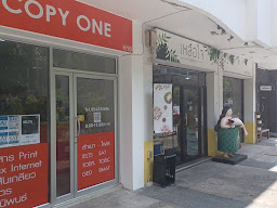 COPY ONE