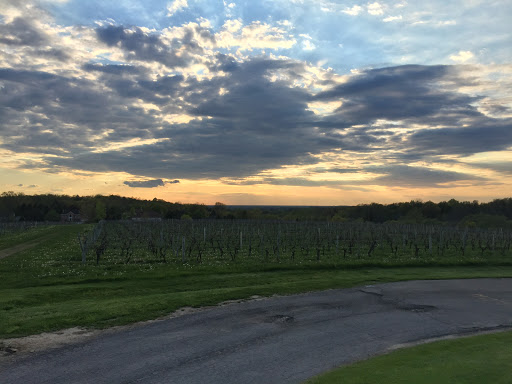 Winery «Casa Larga Vineyards», reviews and photos, 2287 Turk Hill Rd, Fairport, NY 14450, USA
