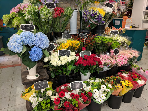 Fleuristes bon marché à Nice