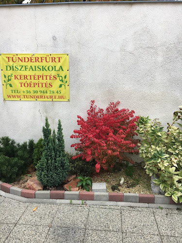Értékelések erről a helyről: Tündérfürt kertépítés, Budapest - Kertészkedő