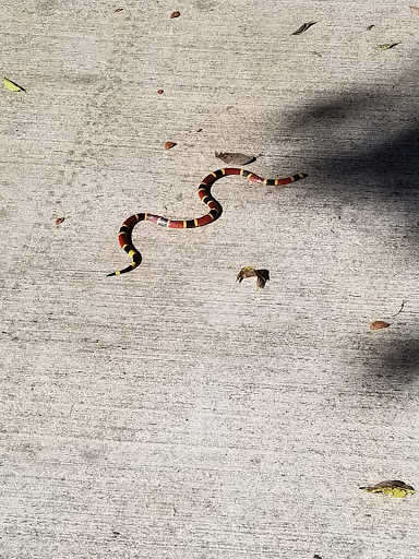 Park «Oakwell TrailHead Park», reviews and photos, 150 Ira Lee Rd, San Antonio, TX 78218, USA