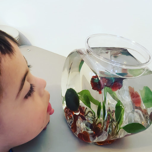 Pet Supply Store «Pet Supermarket, Inc.», reviews and photos, 9985 Business Cir N #10, Naples, FL 34112, USA