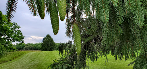 Golf Club «Old Hickory Golf Club», reviews and photos, W7596 WI-33, Beaver Dam, WI 53916, USA