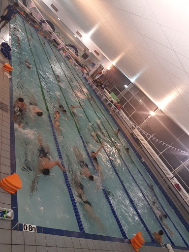 State Swim Ellenbrook