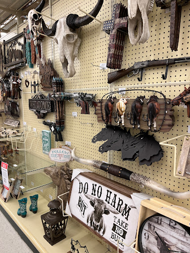 Craft Store «Hobby Lobby», reviews and photos, 8370 Agora Pkwy, Selma, TX 78154, USA