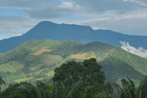 Pijol Peak National Park image