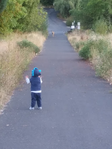 Nature Preserve «Foster Floodplain Natural Area», reviews and photos, 10602 SE Foster Rd, Portland, OR 97266, USA