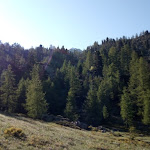 Photo n°1 de l'avis de MaUro.r fait le 12/08/2019 à 07:26 sur le  Plan Coumarial à Fontainemore