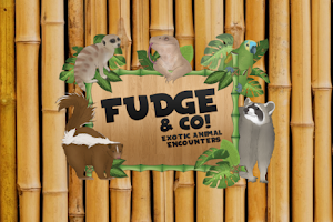 Fudge & Co. Exotic Animal Encounters image