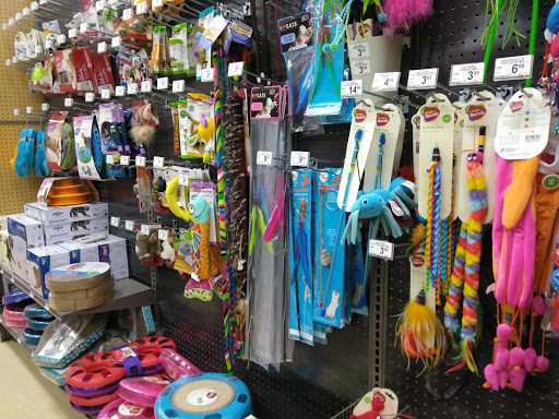 Pet Supply Store «Petco Animal Supplies», reviews and photos, 15660 SW Pacific Hwy, Tigard, OR 97224, USA