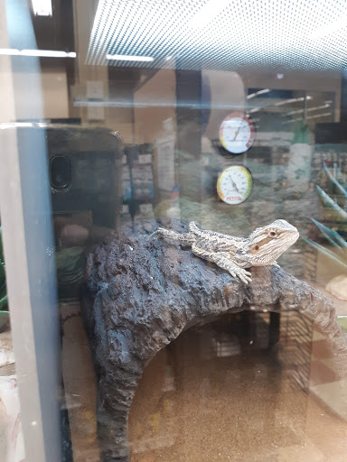 Pet Supply Store «Petco Animal Supplies», reviews and photos, 175 Grandview Blvd #600, Madison, MS 39110, USA