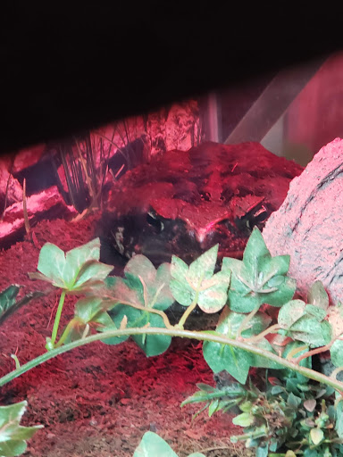 Science Museum «Science City», reviews and photos, 30 W Pershing Rd, Kansas City, MO 64108, USA