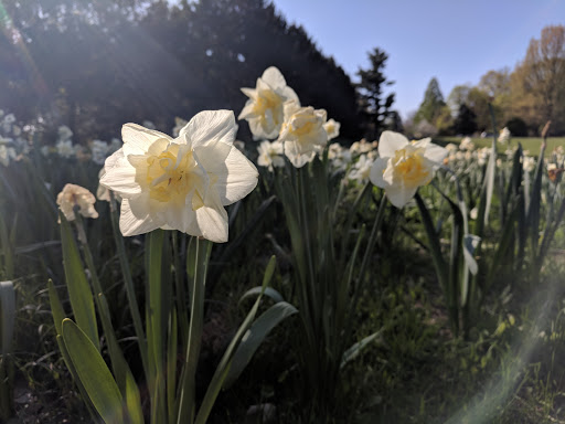 Park «Joe Creason Park», reviews and photos, 1297 Trevilian Way, Louisville, KY 40213, USA