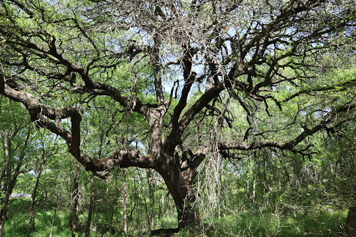 National Park «Waco Mammoth National Monument», reviews and photos, 6220 Steinbeck Bend Dr, Waco, TX 76708, USA