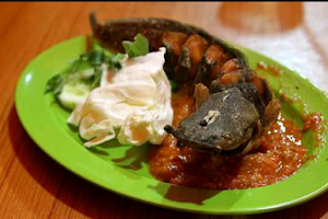 Rumah Makan Seafood Mas Ecko Rawa Bacang image