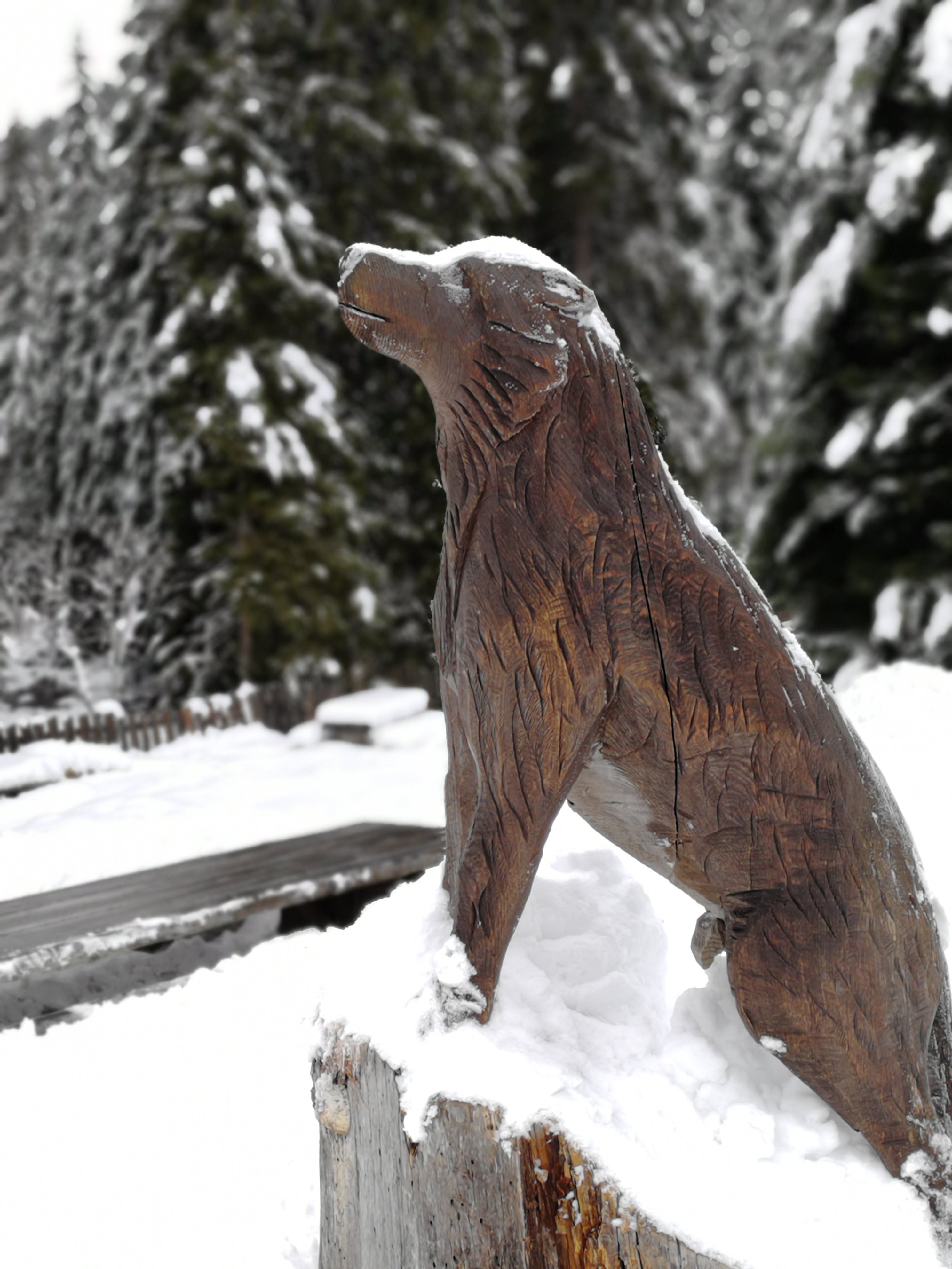 Photo n° 1 de l'avis de Melodie.r fait le 18/01/2018 à 19:09