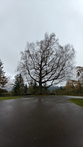 History Museum «Pittock Mansion», reviews and photos, 3229 NW Pittock Dr, Portland, OR 97210, USA