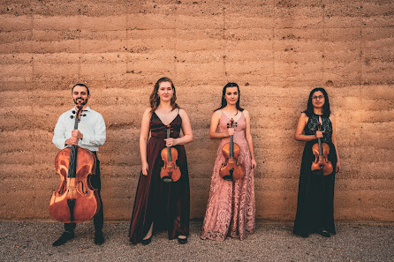 Artifact Video Productions 