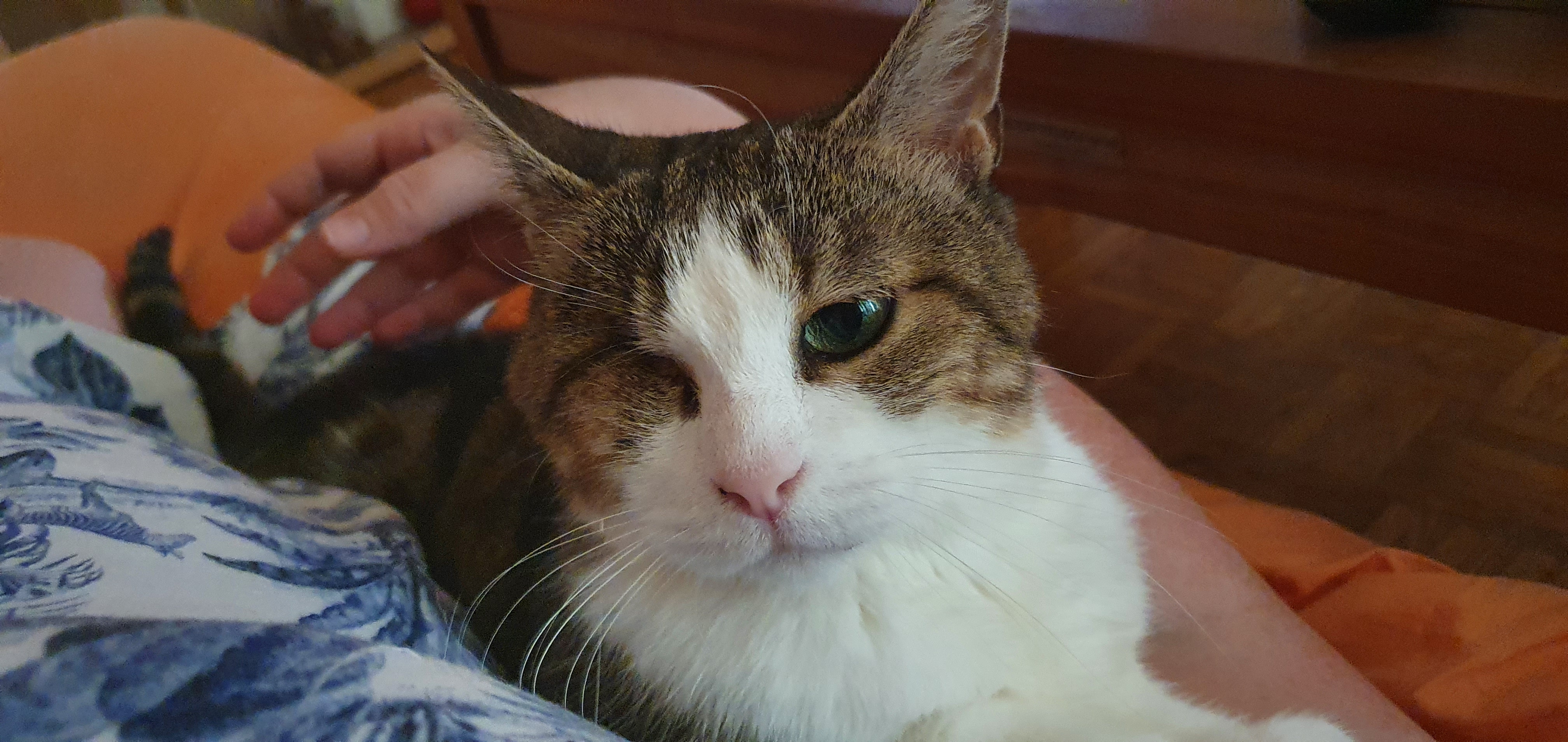 Photo n° 2 de l'avis de Nina.a fait le 21/08/2022 à 15:46