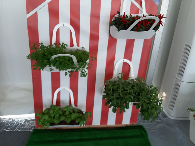 Confeitaria Bom Bom - Espinho