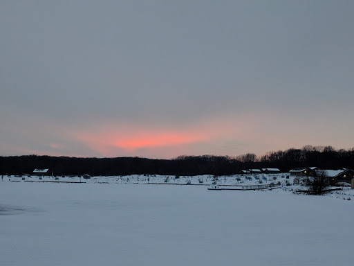 Nature Preserve «Pulaski Woods East», reviews and photos, 9600 Wolf Rd, Willow Springs, IL 60480, USA