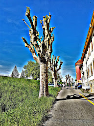 Photo n°16 de Cafeteria 