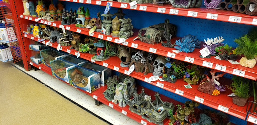 Pet Supply Store «Petco Animal Supplies», reviews and photos, 9230 Old Keene Mill Rd b, Burke, VA 22015, USA