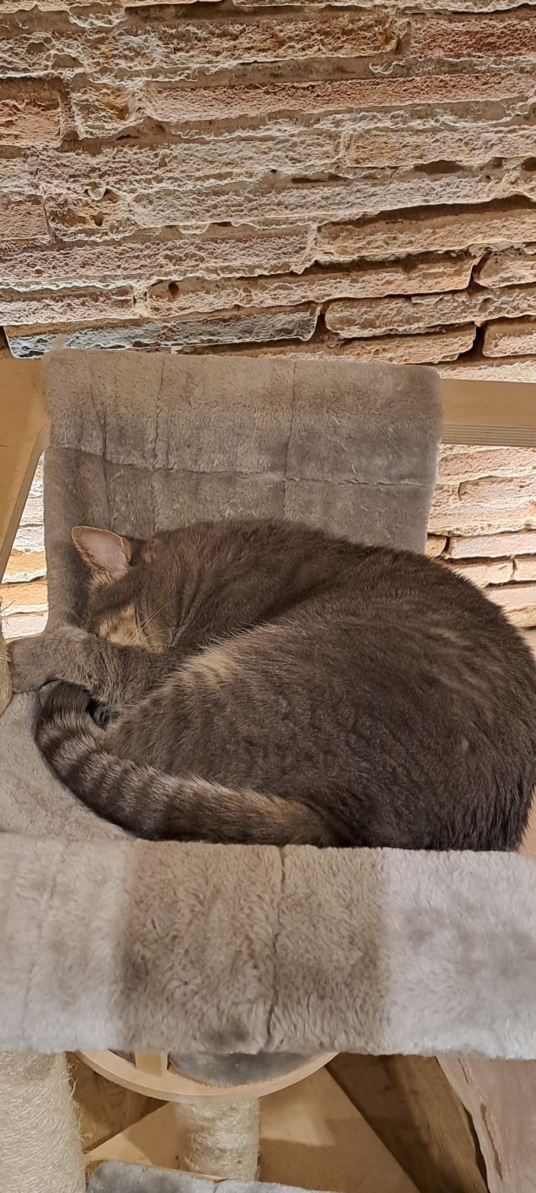Photo n° 3 de l'avis de Lucie.R fait le 24/08/2022 à 16:14